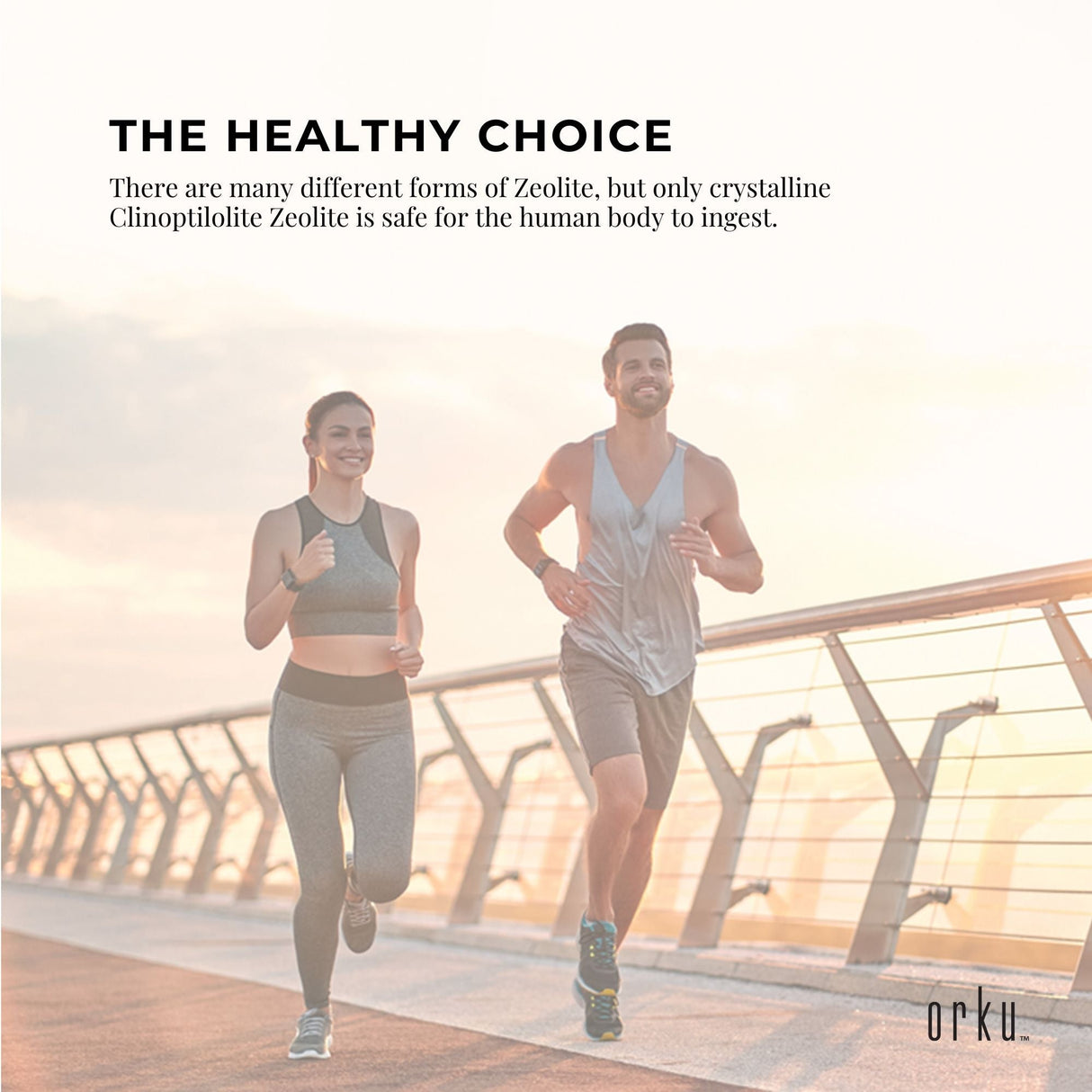 800g Pure Micronised Zeolite Powder Supplement Tub Micronized Volcamin