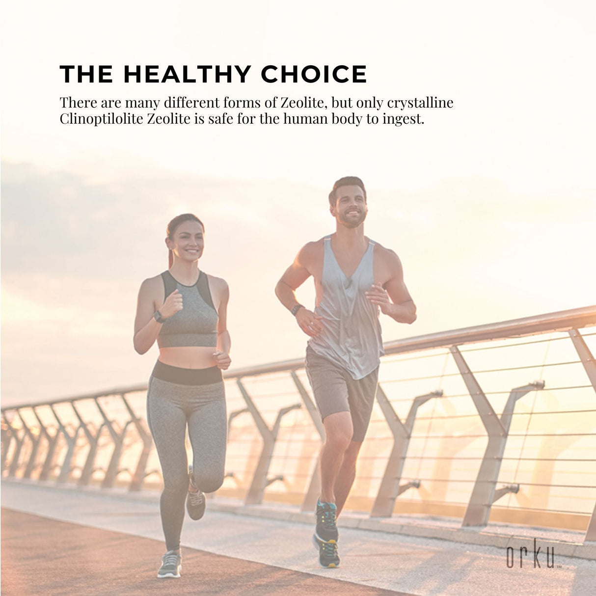 3kg Pure Micronised Zeolite Powder Supplement Tub Micronized Volcamin