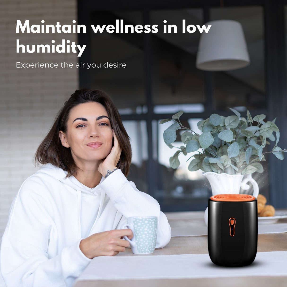 800ML Dehumidifier (Black) MK-DH-100-WS