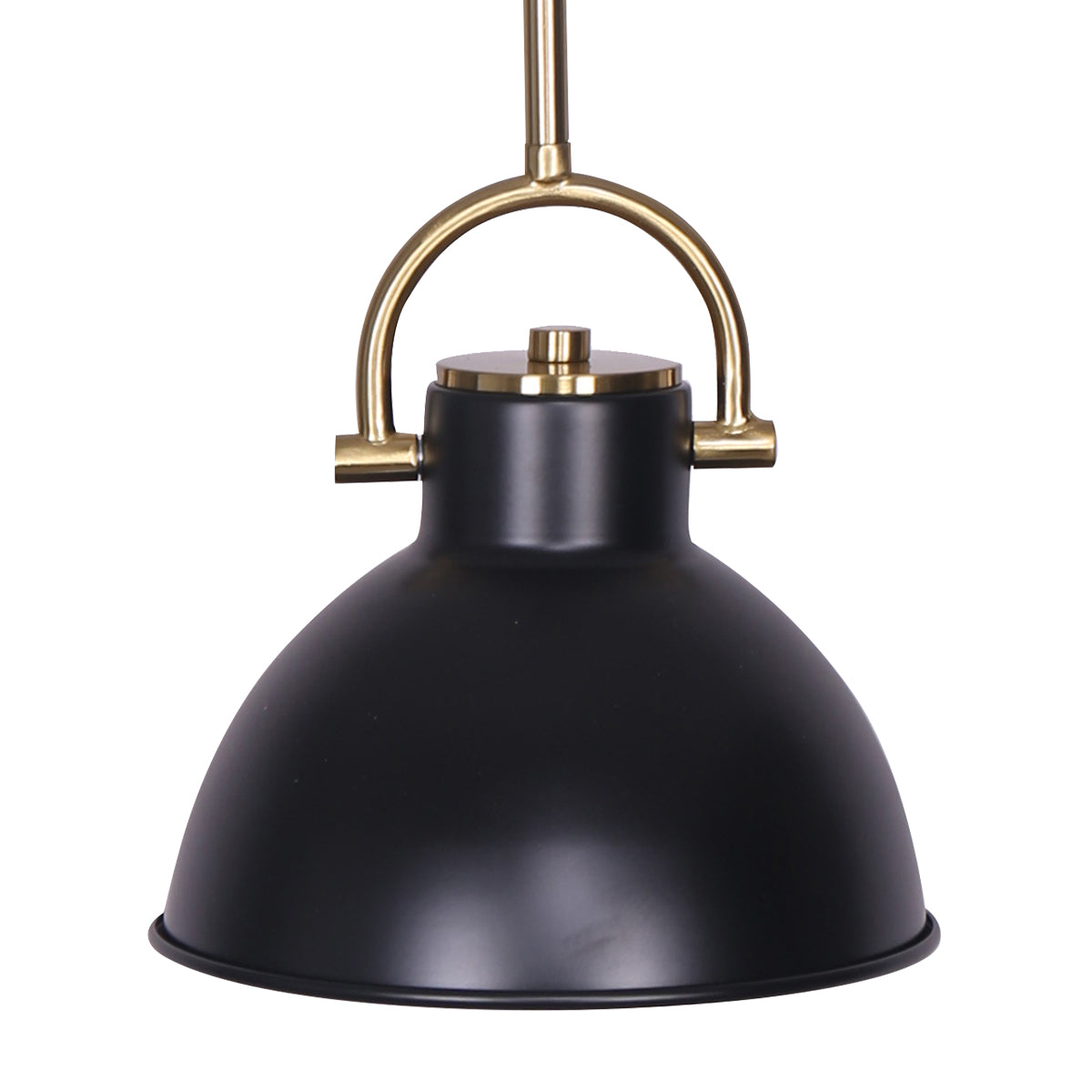 Black and Gold Pendant Light