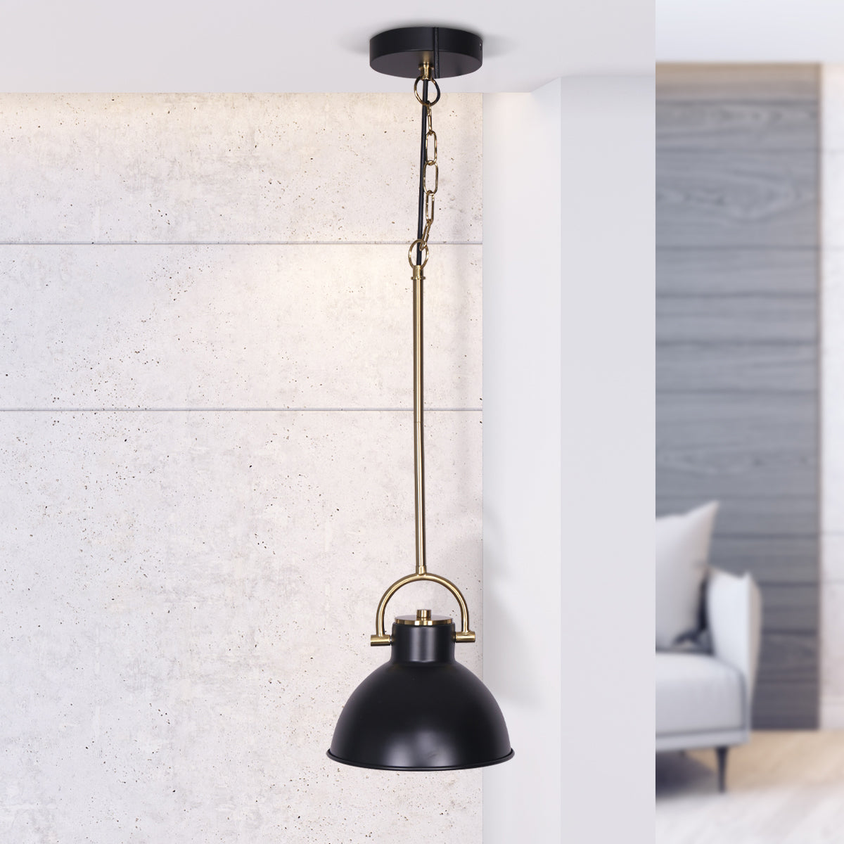 Black and Gold Pendant Light