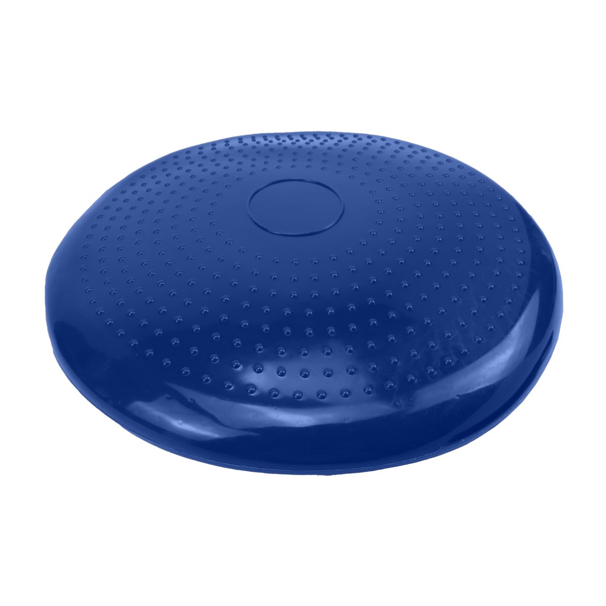 Yoga Stability Disc Home Gym Pilates Balance Trainer - Blue
