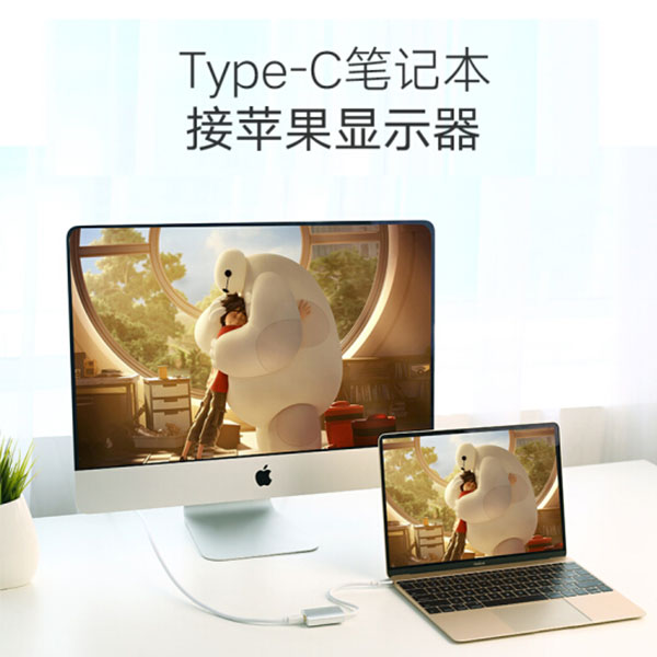 USB-C to MIni Display port Adapter (40867)