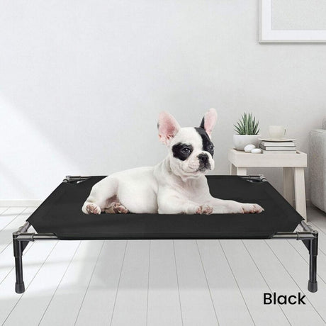 Elevated Pet Bed (M Black) FI-PB-264-QQQ