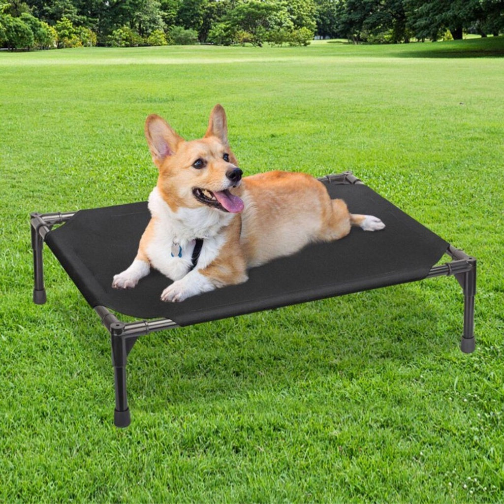 Elevated Pet Bed (M Black) FI-PB-264-QQQ