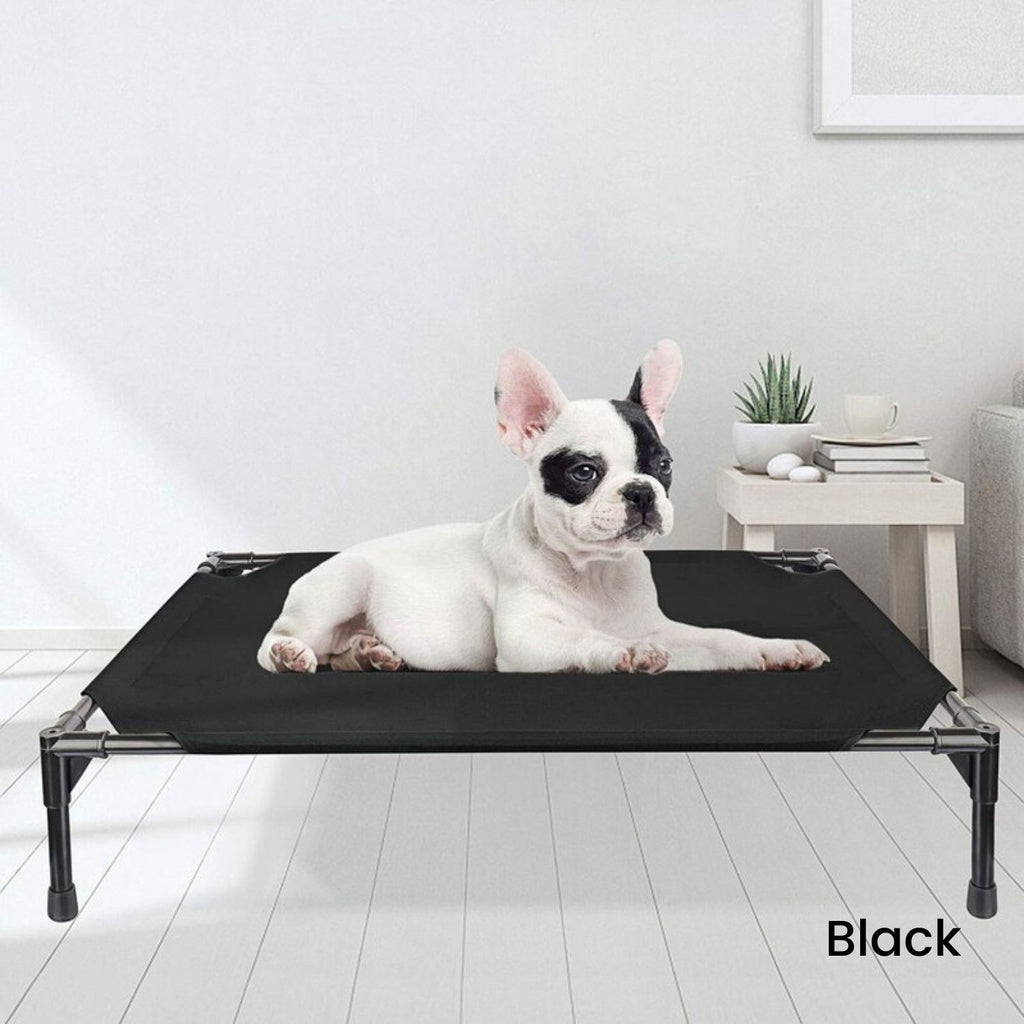Elevated Pet Bed (XL Black) FI-PB-266-QQQ