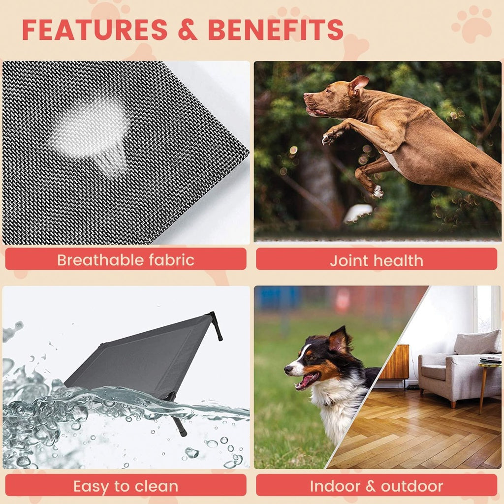 Elevated Pet Bed (XL Black) FI-PB-266-QQQ