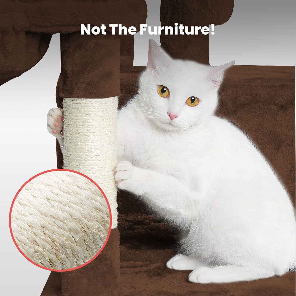 104cm Plush Cat Condo Cat Tree Brown FI-CT-167-ZZ