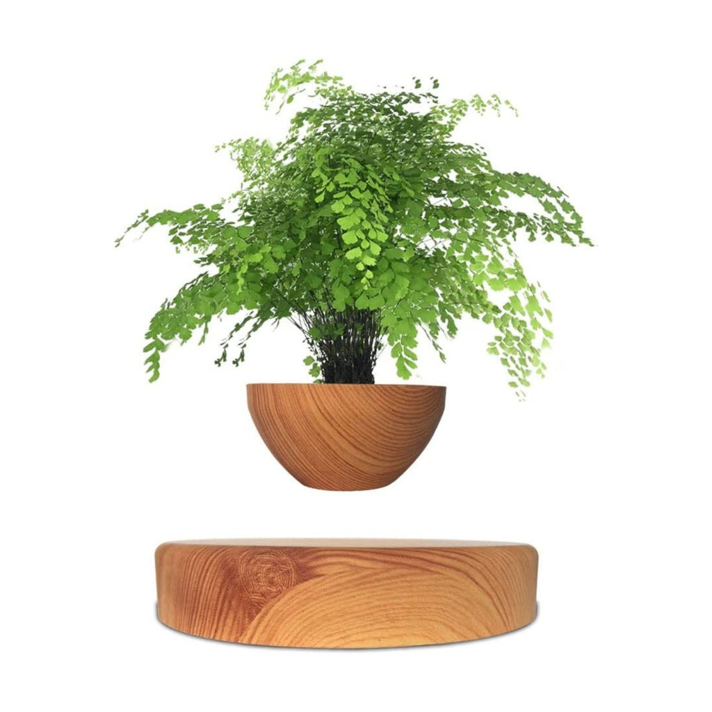 Magnetic Levitating Plant Pot Oak GO-MLP-108-HCNT