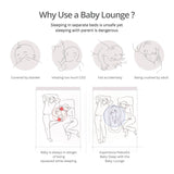 Breathable Material Hidden Zipper Portable Baby Lounger & Baby Nest With Pillow (Animals)