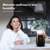 800ML Dehumidifier (Black) MK-DH-100-WS