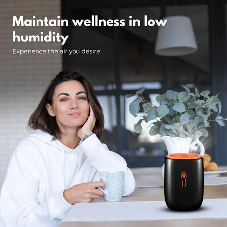 800ML Dehumidifier (Black) MK-DH-100-WS