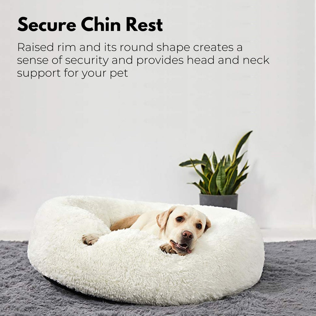 Pet Bed 60cm (Light Grey) PT-PB-135-XL