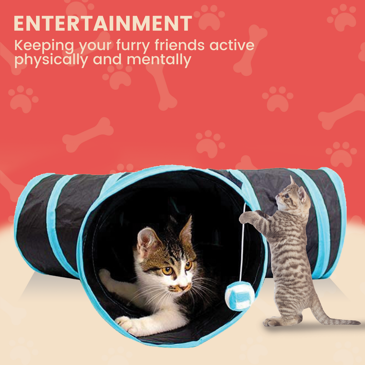 4 Holes Cat Tunnel (White) - PT-CT-120-QQQ