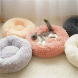 Ped Bed Round Plush (80cm Apple Green) - PT-PB-231-XL (L22 80cm Apple Green)