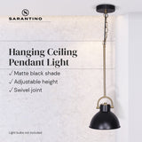 Black and Gold Pendant Light