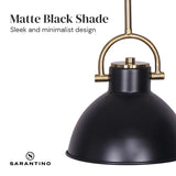 Black and Gold Pendant Light