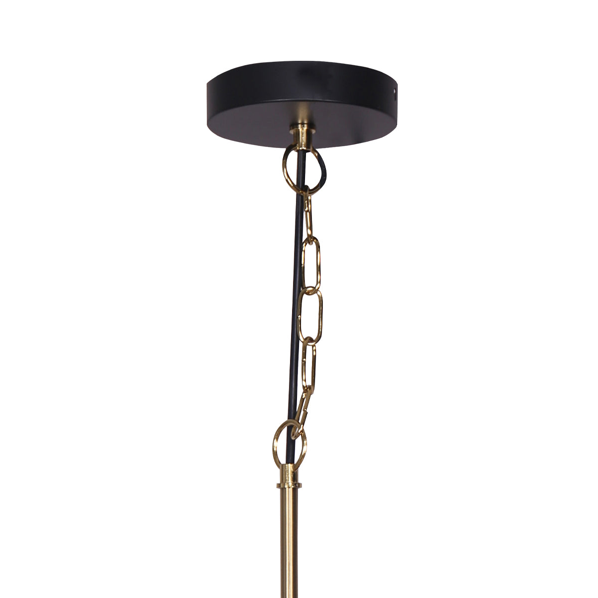 Black and Gold Pendant Light