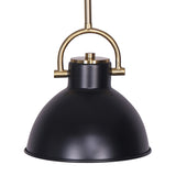 Black and Gold Pendant Light