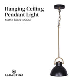 Black and Gold Pendant Light