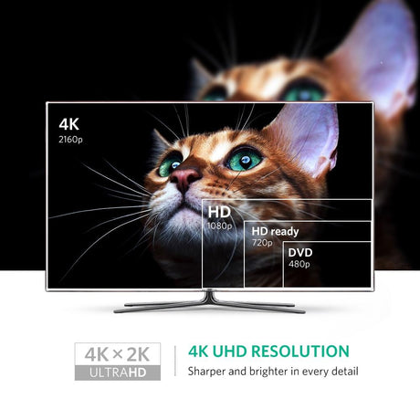 40360 4K Mini DP to HDMI Adapter