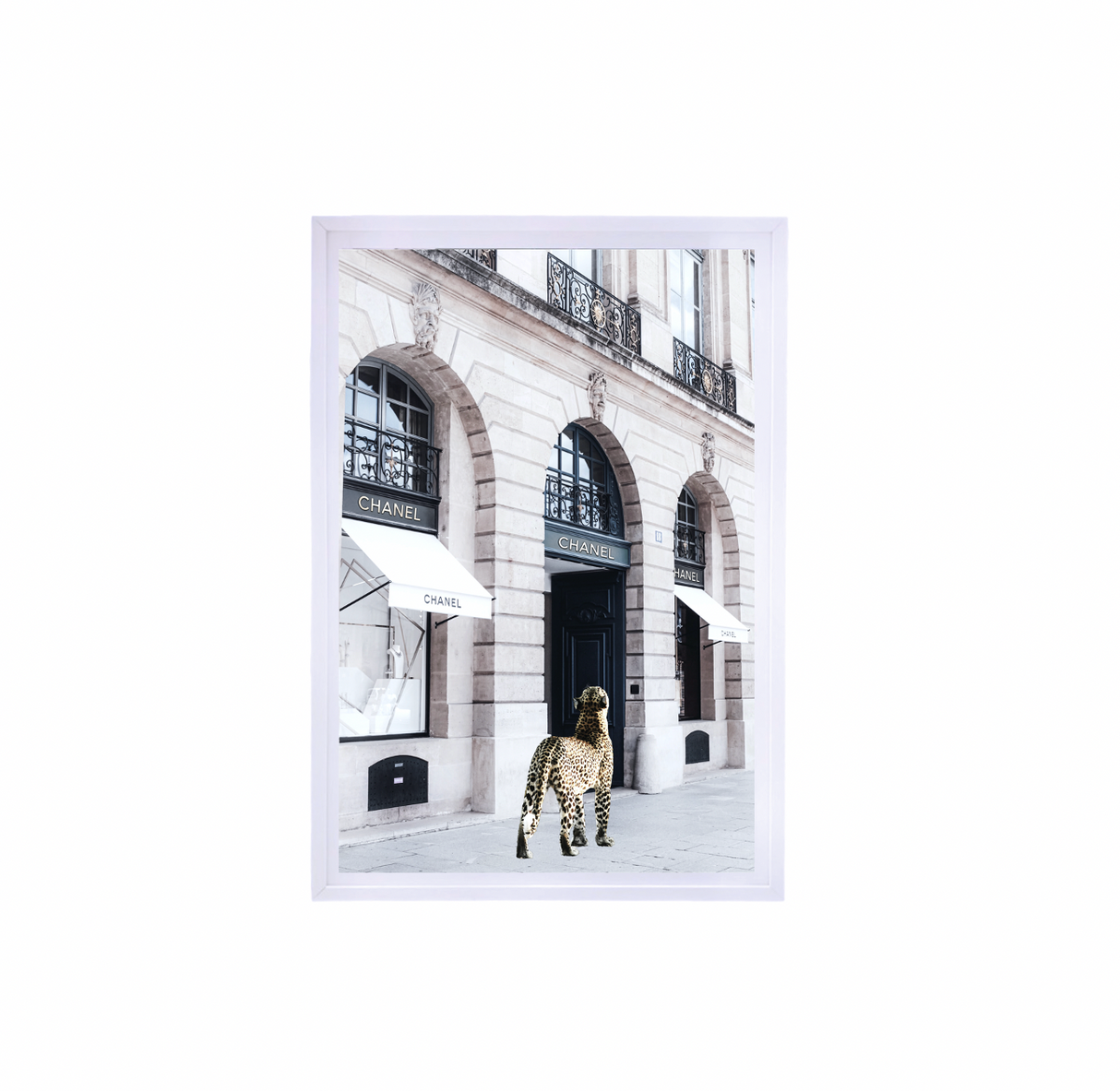Catwalk - 90cm x 60cm White Framed Artwork