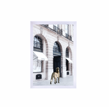 Catwalk - 90cm x 60cm White Framed Artwork
