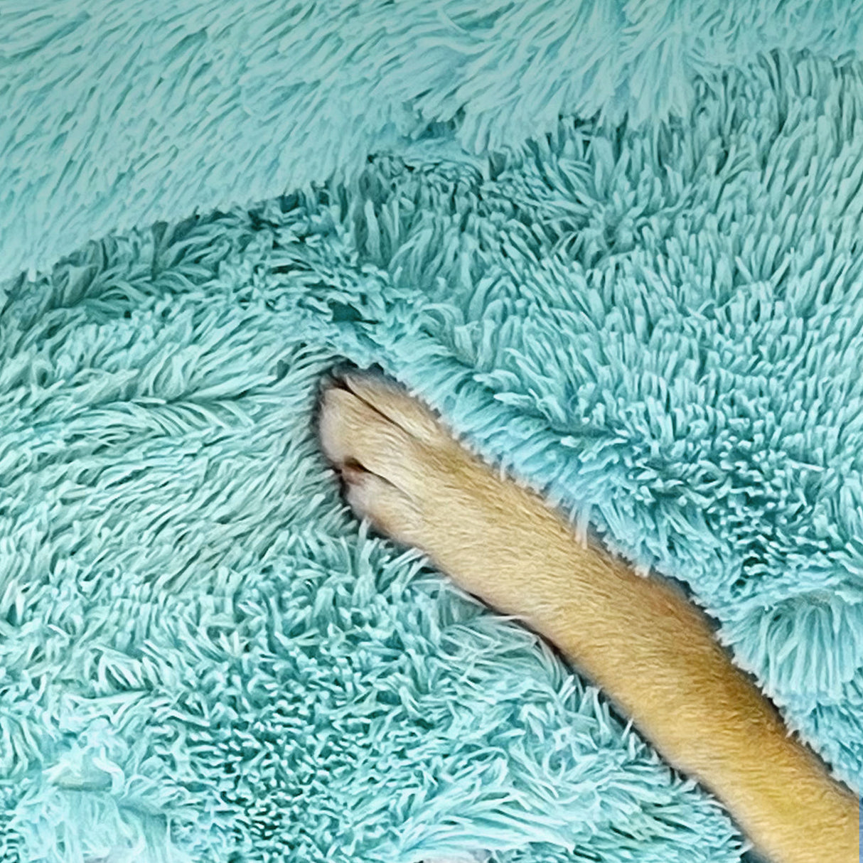 Pet Dog Bedding Warm Plush Round Comfortable Nest Comfy Sleep kennel Green 120cm